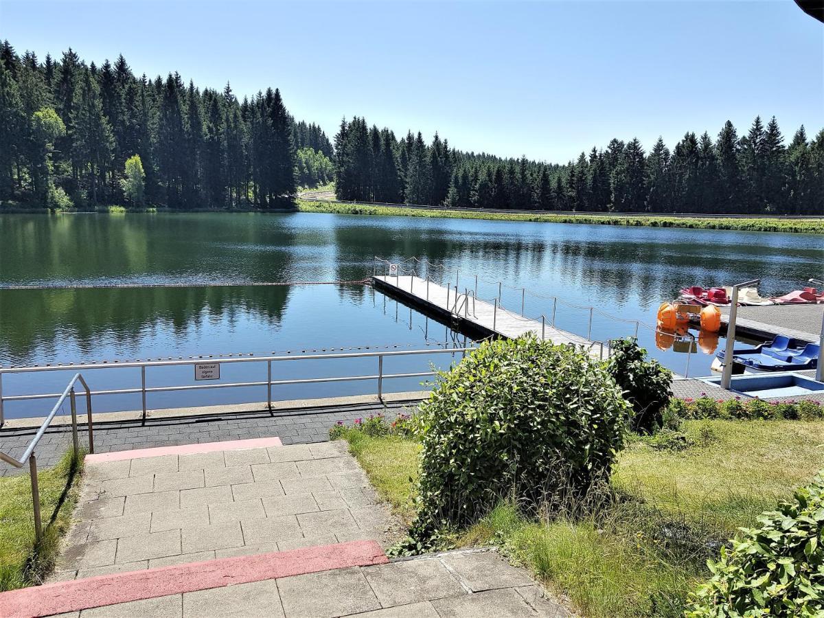 Grossdorf Appartement En Vogue Im Hahnenklee, Harz Goslar Eksteriør billede