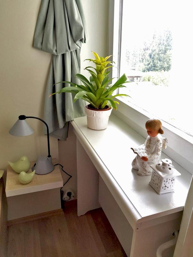 Grossdorf Appartement En Vogue Im Hahnenklee, Harz Goslar Eksteriør billede